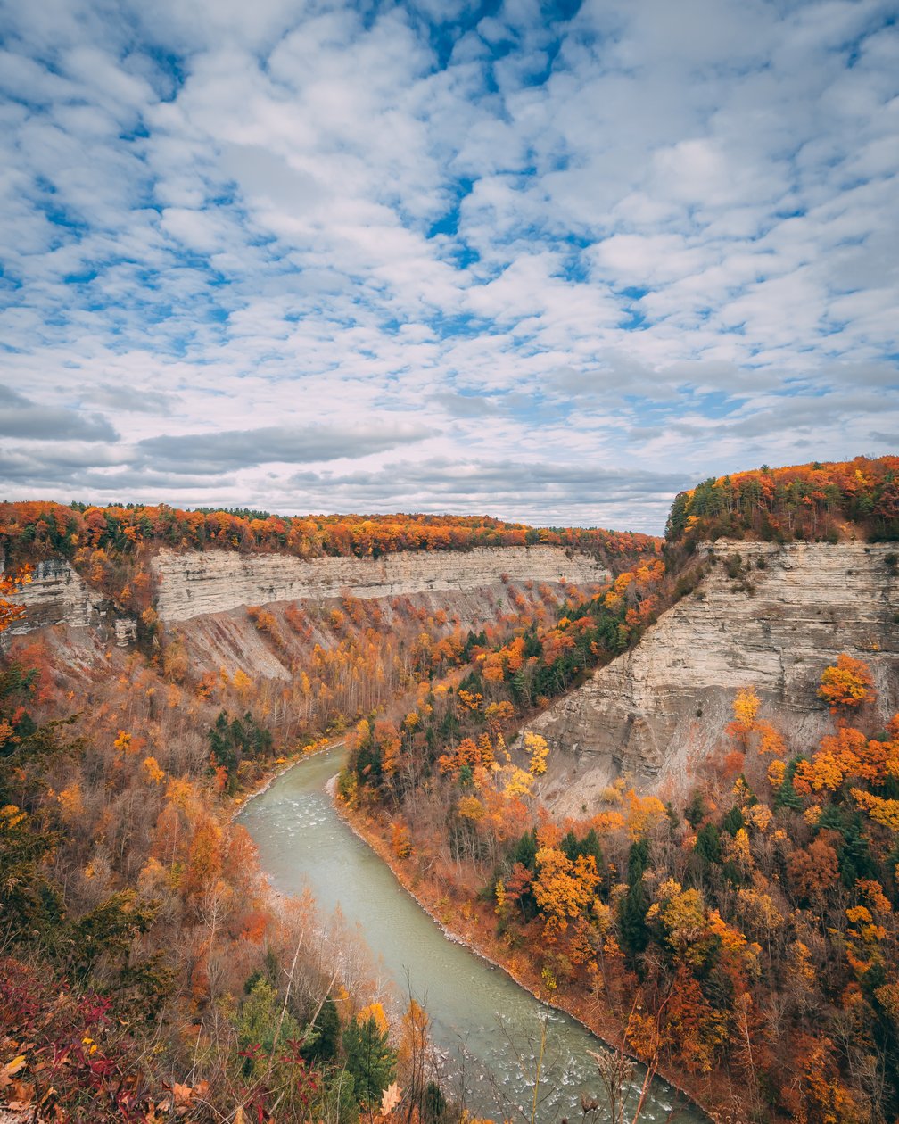 Cores de outono no desfiladeiro do Letchworth State Park, em Nova Iorque, EUA (foto) de Jon Bilous
