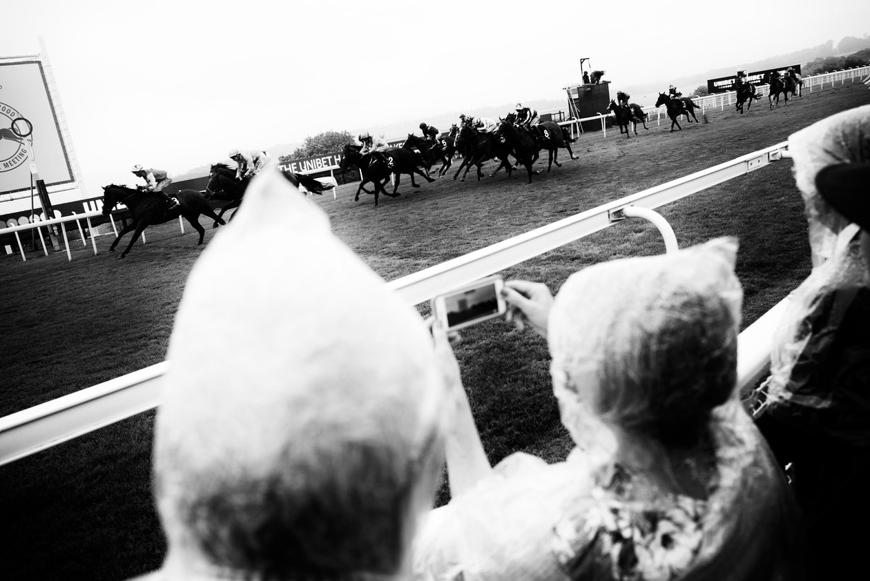Goodwood Estate em West Sussex, Reino Unido, 2019 (foto) de Jon Nicholson