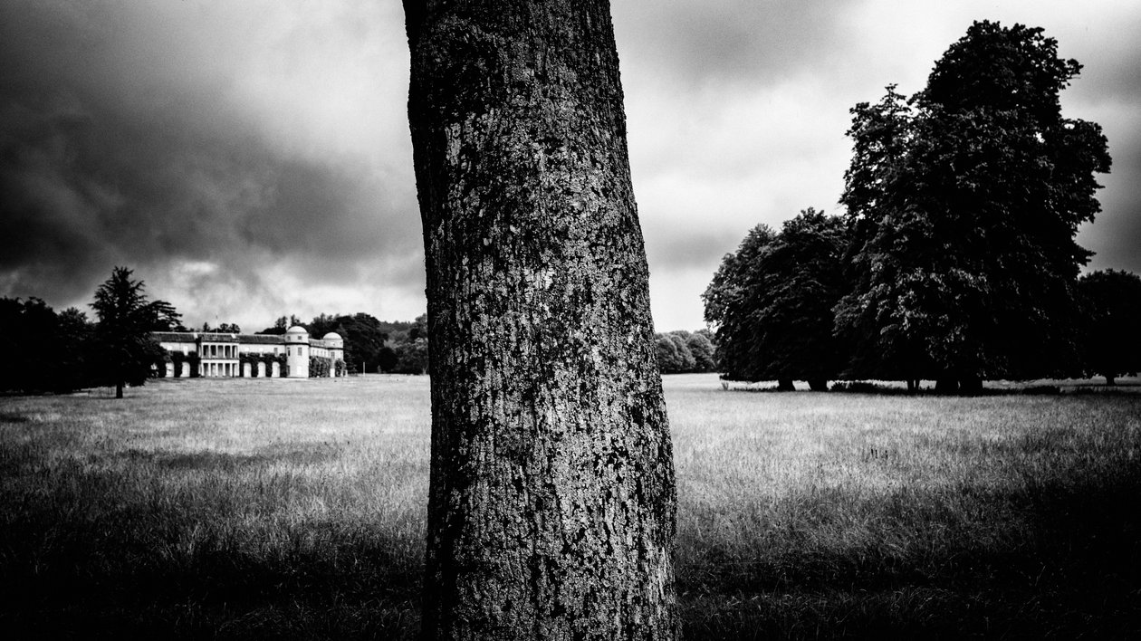 O Goodwood Estate em West Sussex, Reino Unido, 2020 (foto) de Jon Nicholson
