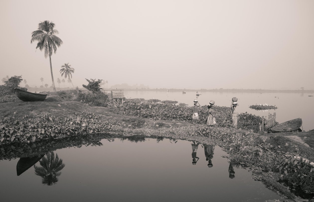 Pesca em zonas húmidas de Calcutá, 2016 (foto) de Jon Nicholson