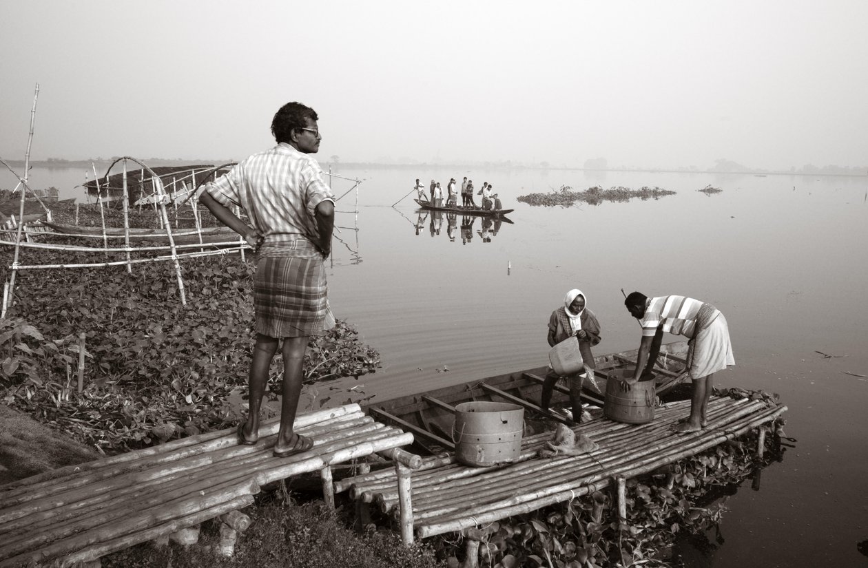 Pesca em zonas húmidas de Calcutá, 2016 (foto) de Jon Nicholson