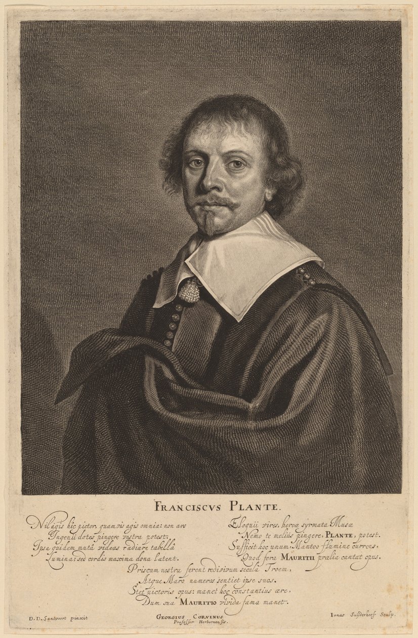 Francisco Plante de Jonas Suyderhoff after Pieter Dircksz Santvoort