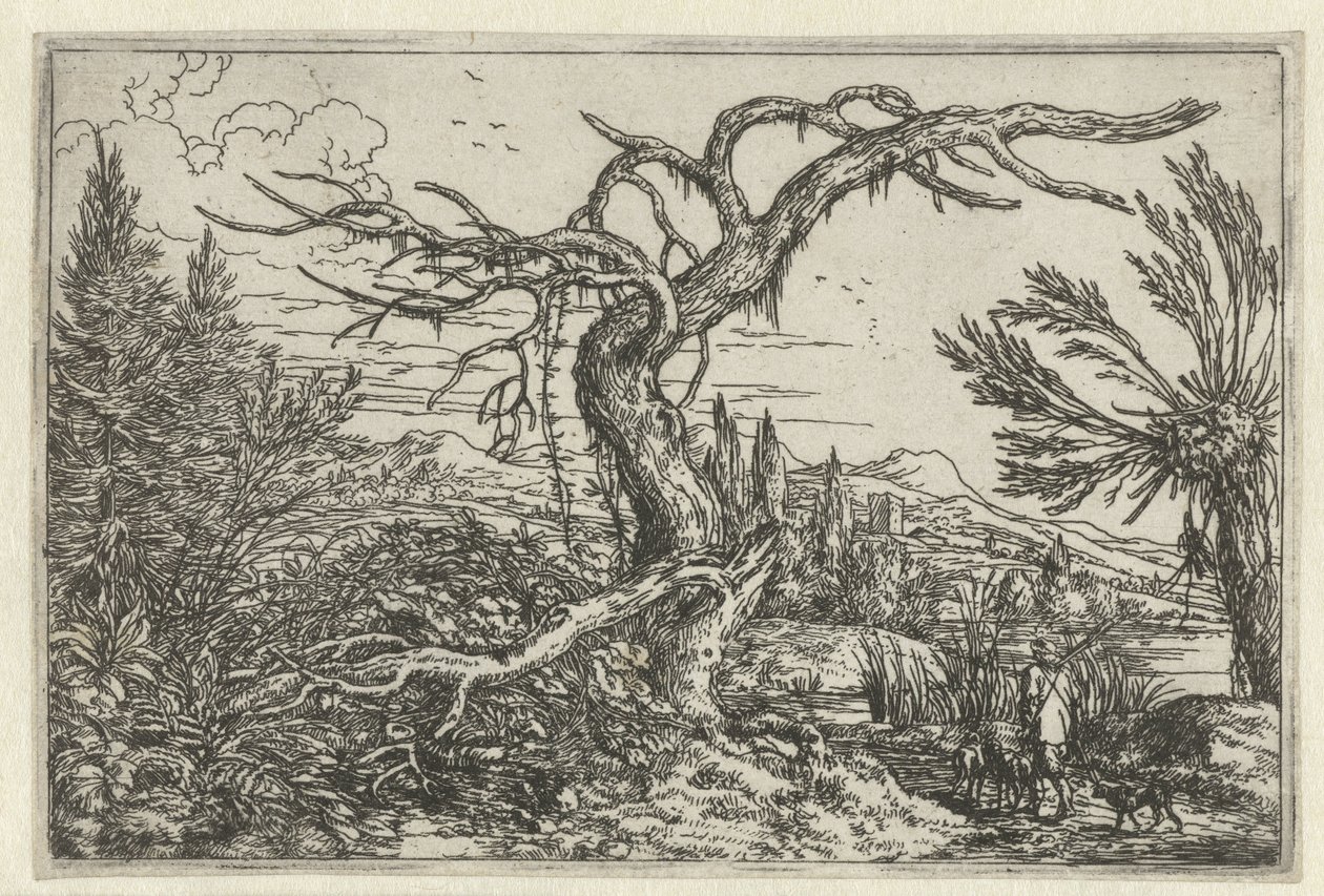 Paisagem com a árvore árida de Jonas Umbach