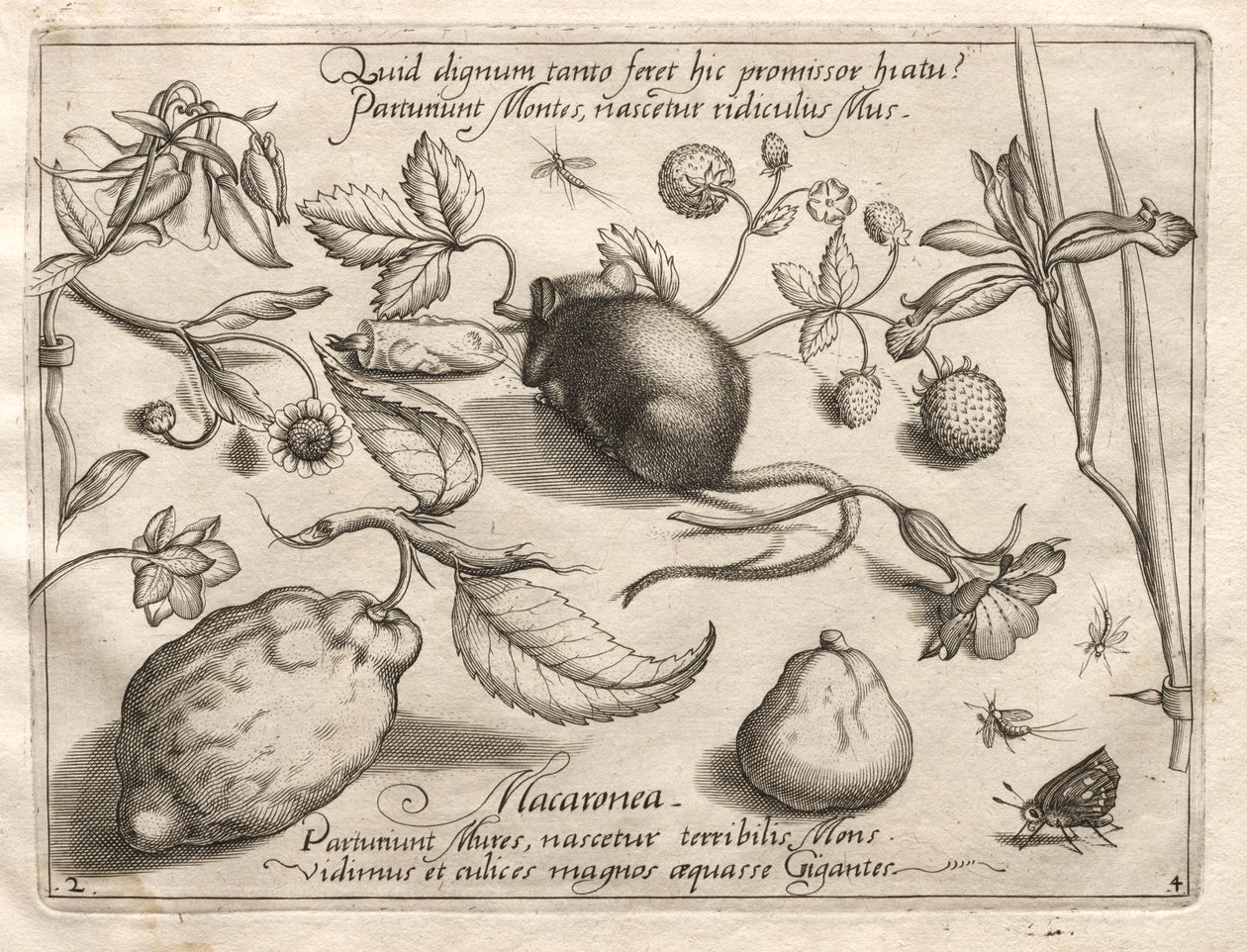 Arquétipos e Estudos: O que pode emergir de acordo com uma promessa tão cavernosa, 1592. de Joris Hoefnagel