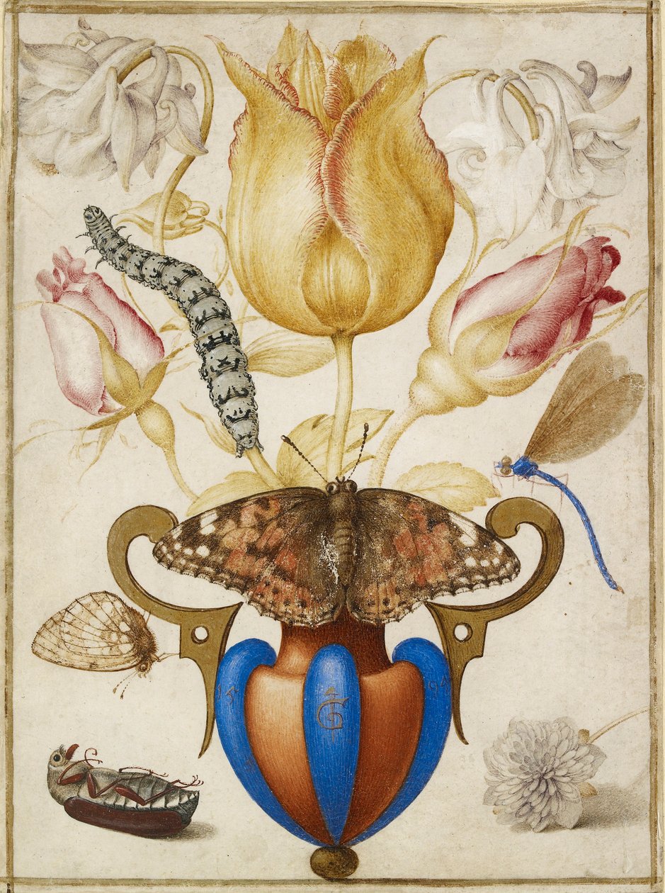 Arranjo de Flores em Vaso, com Insectos, 1594 de Joris Hoefnagel