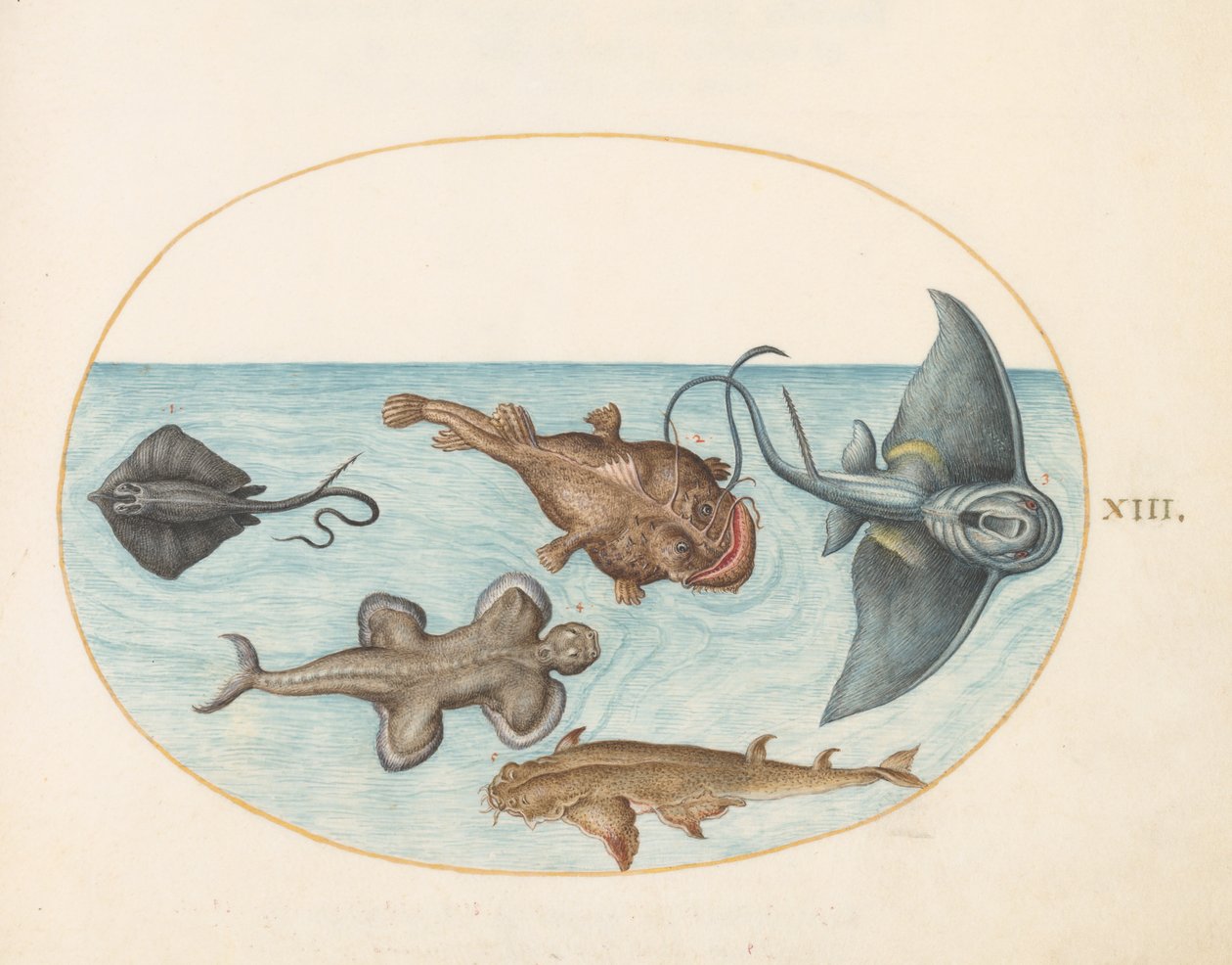 Peixe, c.1575-80 de Joris Hoefnagel