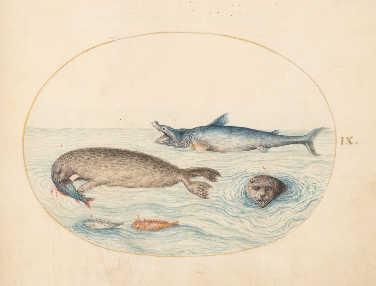 Criaturas marinhas, c.1575-80 de Joris Hoefnagel