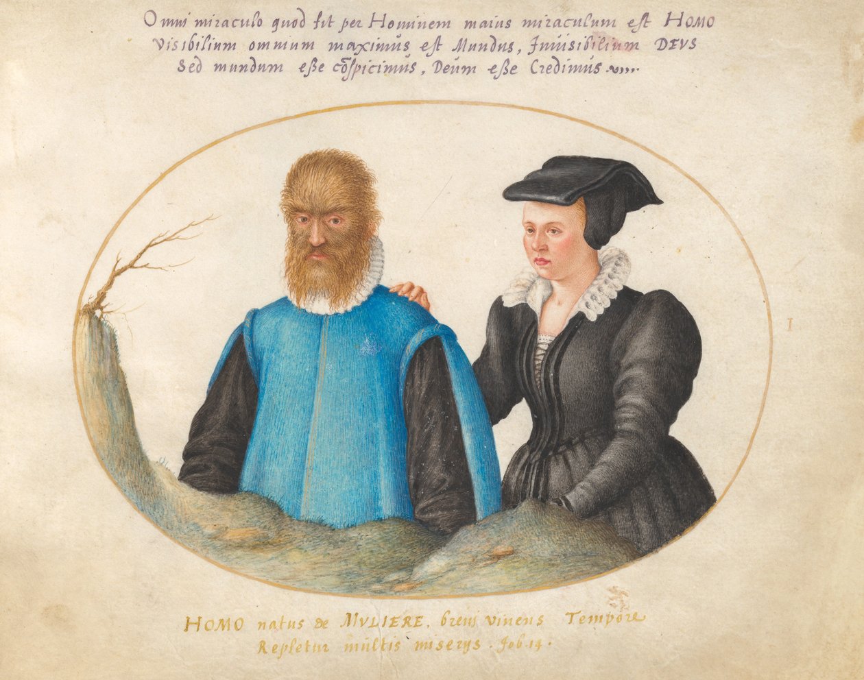 Placa 1: Pedro González (Petrus Gonsalvus) e sua esposa, Catherine de Joris Hoefnagel