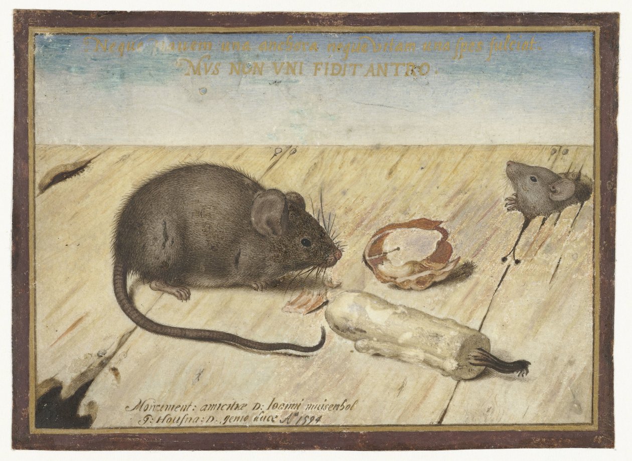 Dois ratos de Joris Hoefnagel