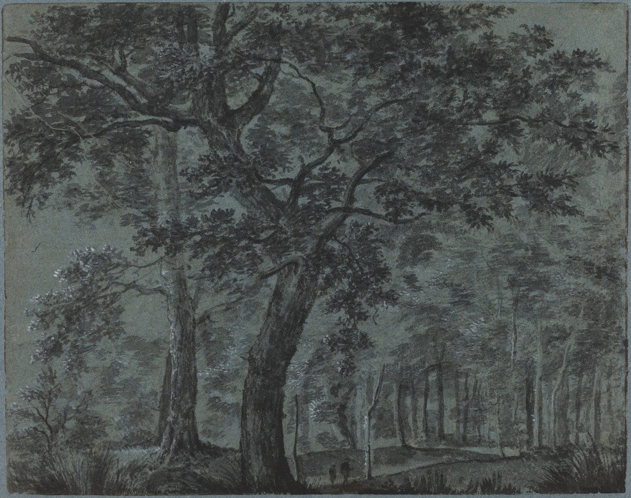 Bosques à noite com viajantes de Joris van der Haagen