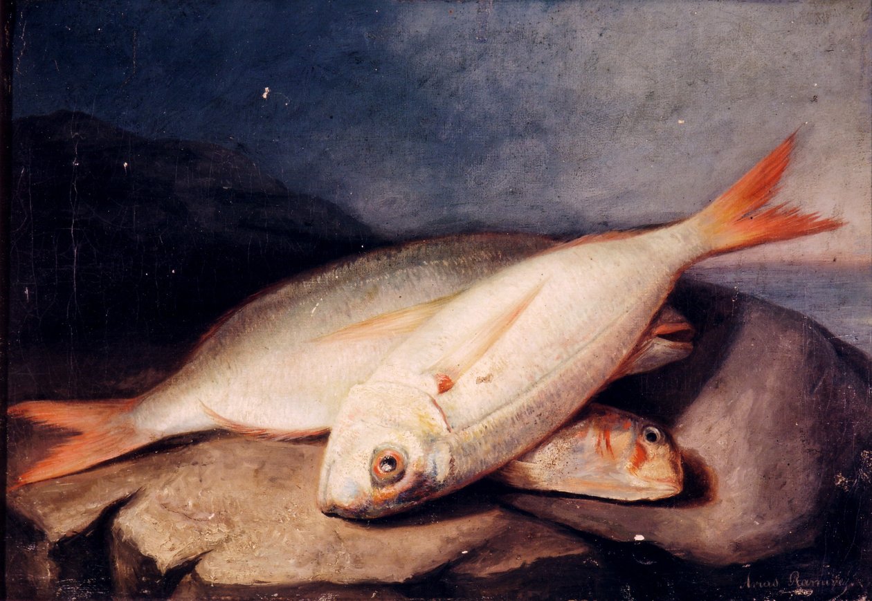 Espanhol: Bodegón de peces de José Arias Ramírez
