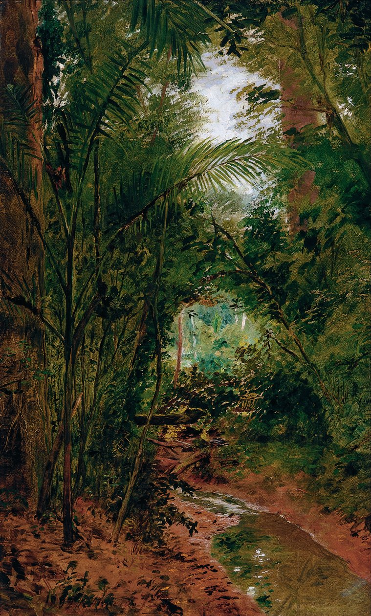 Landscape at the Rio das Pedras  de Jose Ferraz Almeida de Junior