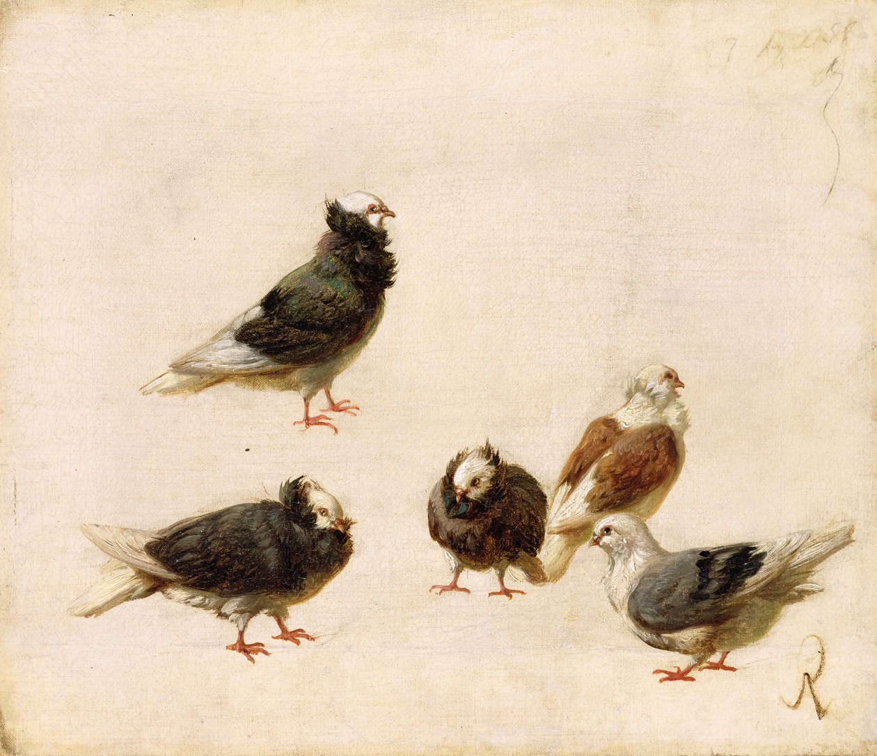 Pombos, 1888 de Jose Ruiz Blasco