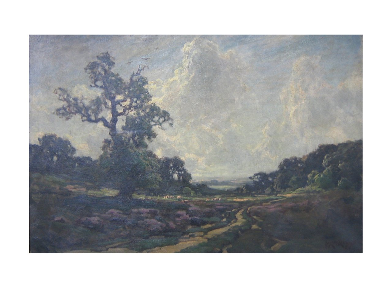 A estrada sobre o comum de Jose Weiss