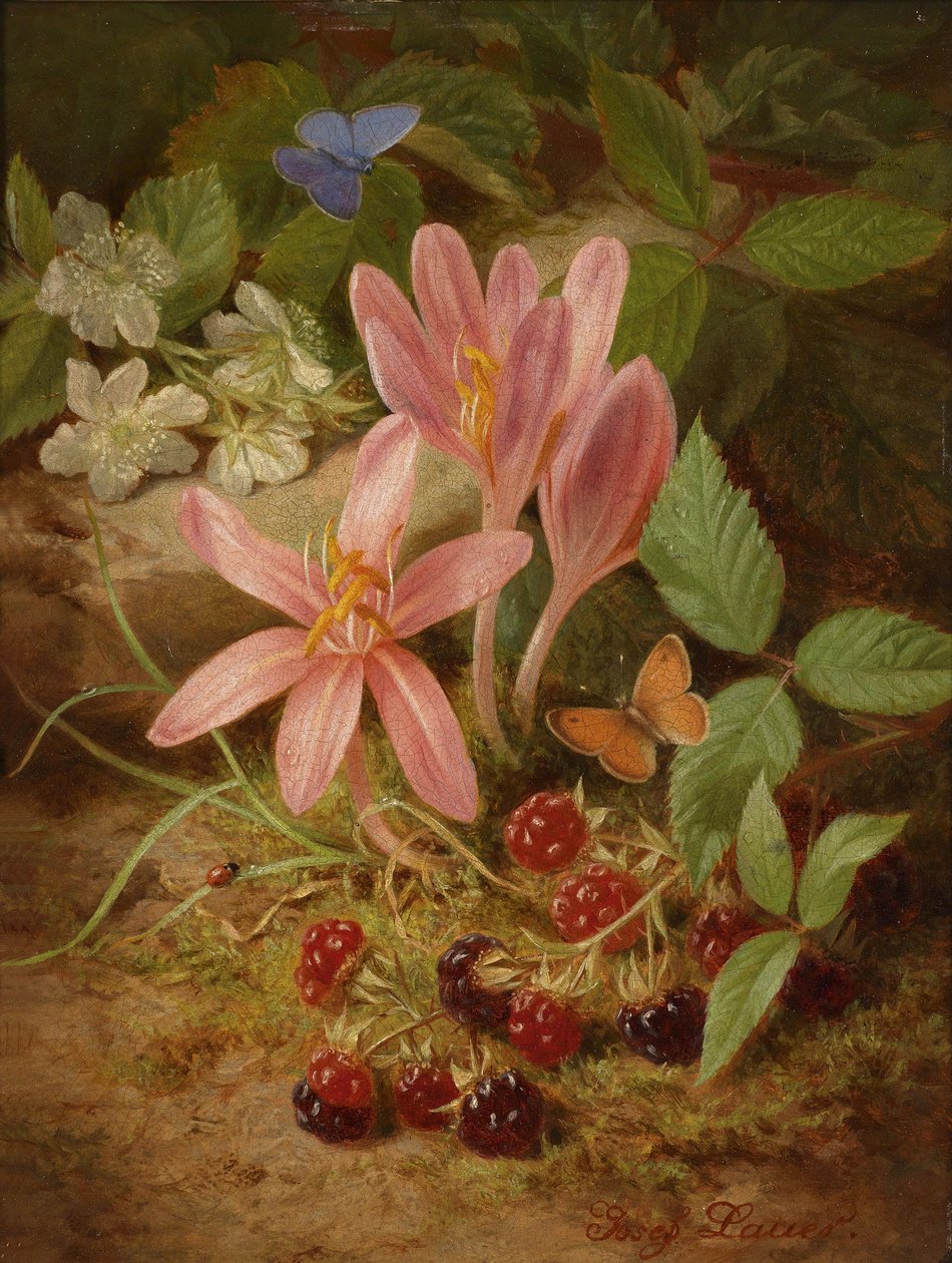 Flor de Outono com amoras de Josef Lauer