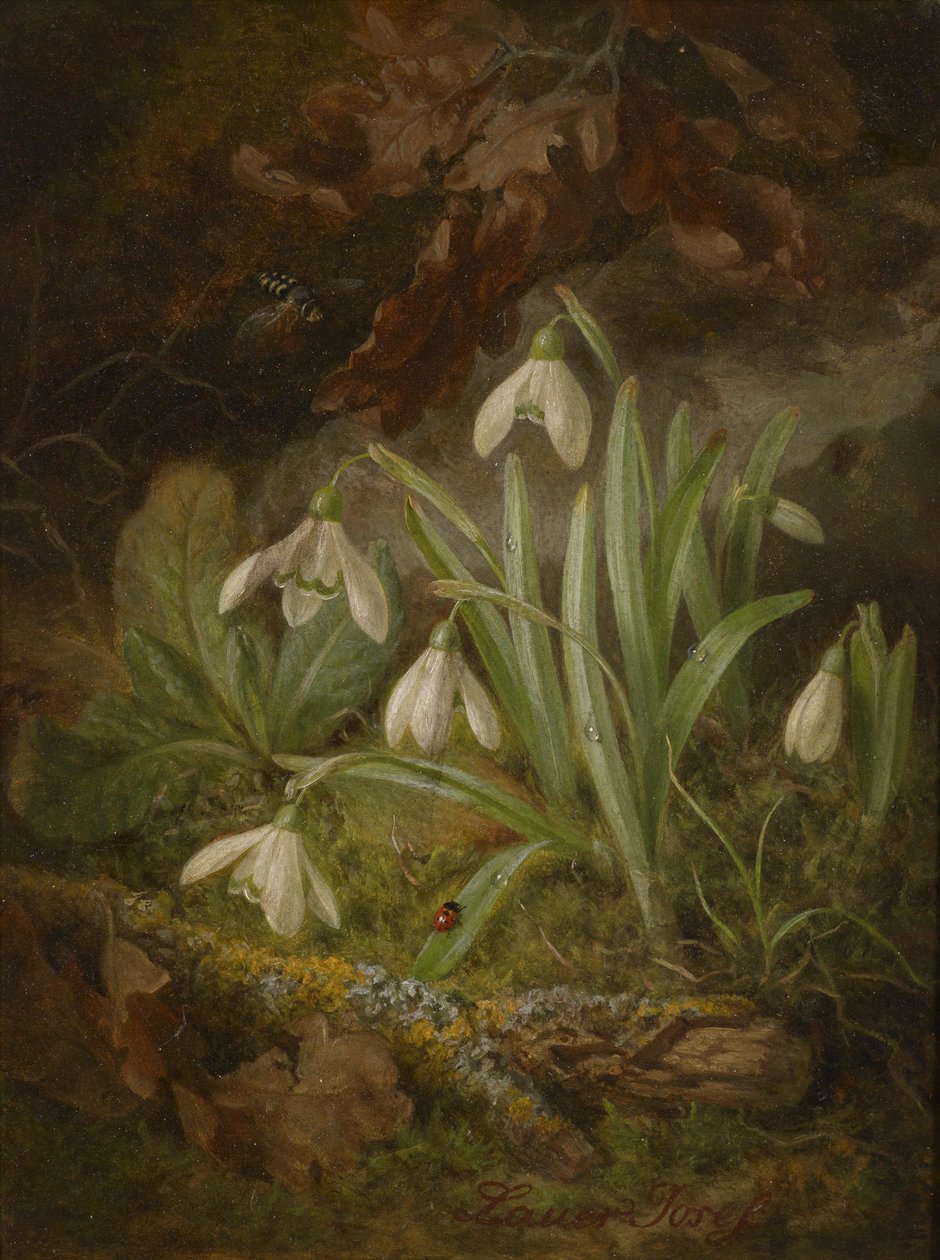 Peça de chão de floresta com snowdrops de Josef Lauer