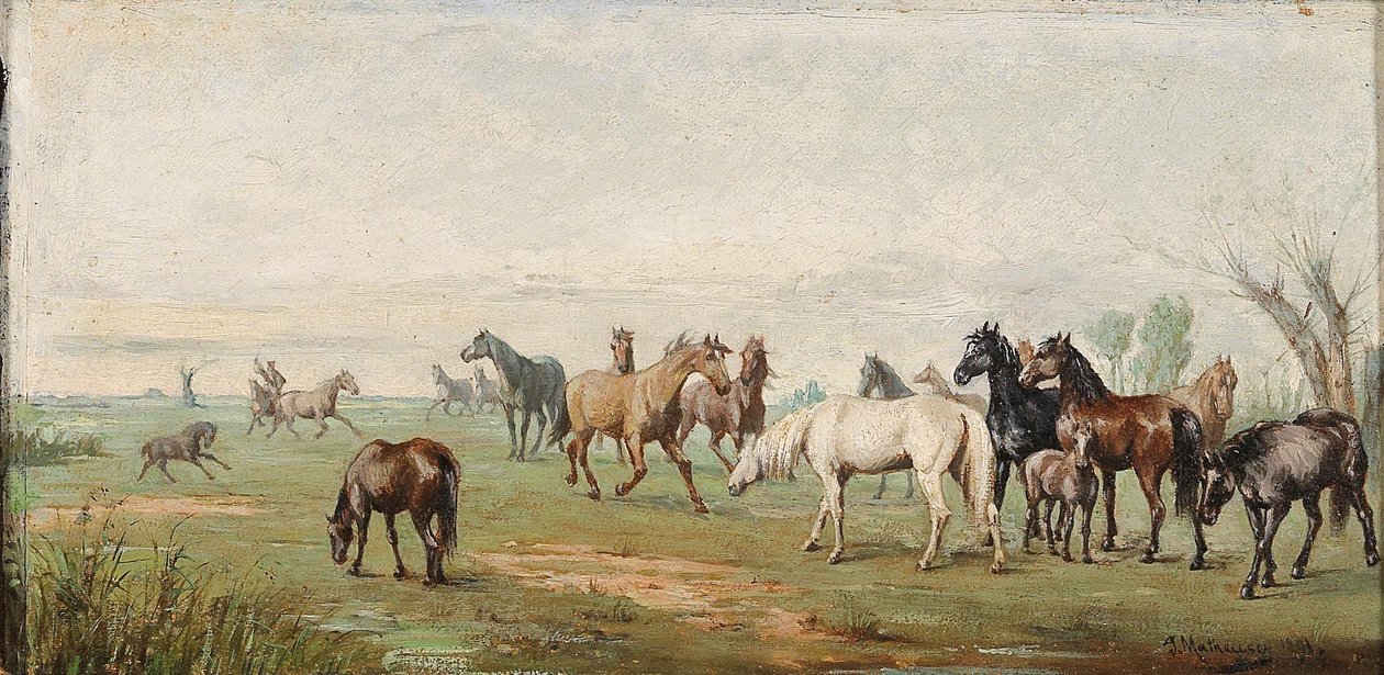 Manada de cavalos com pastor de Josef Mathauser