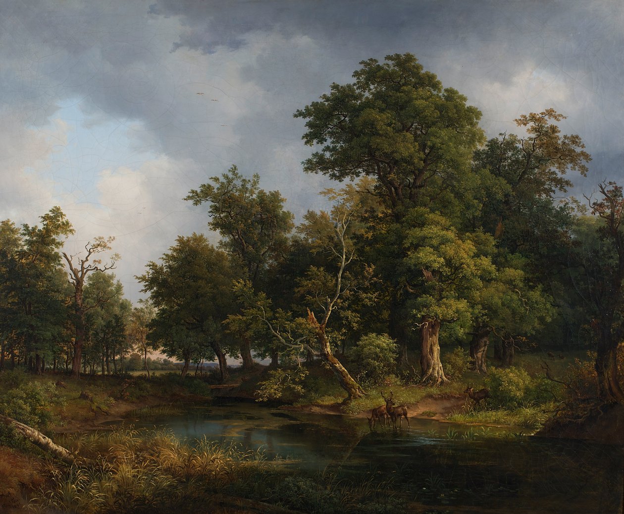 Paisagem florestal de Josef Feid