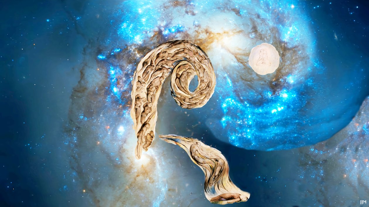 JJM-recreate: Blake-W_The Whirlwind of Lovers+JWST de Josef Johann Michel