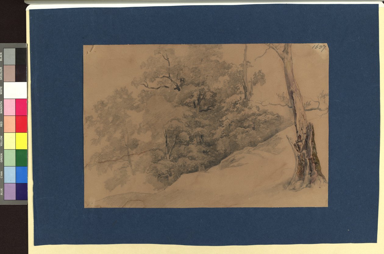 Landschaftsstudie de Josef Kriehuber
