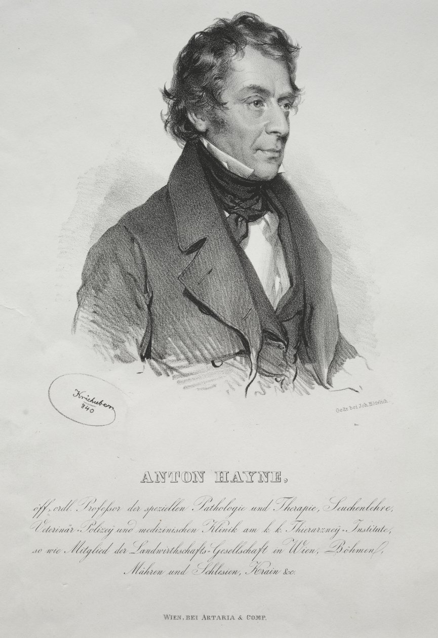 Retrato do Dr. Anton Hayne de Josef Kriehuber