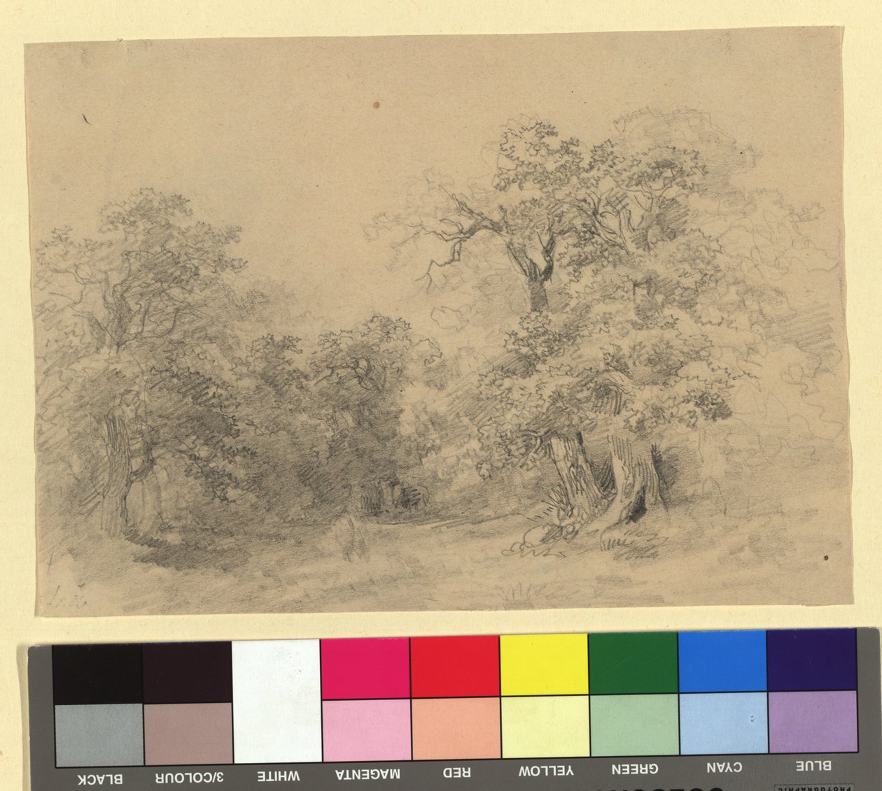 Paisagem florestal de Josef Kriehuber