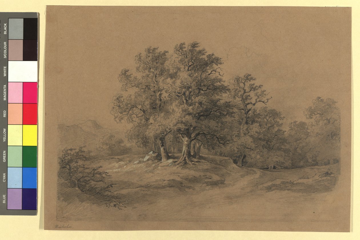 Paisagem florestal de Josef Kriehuber