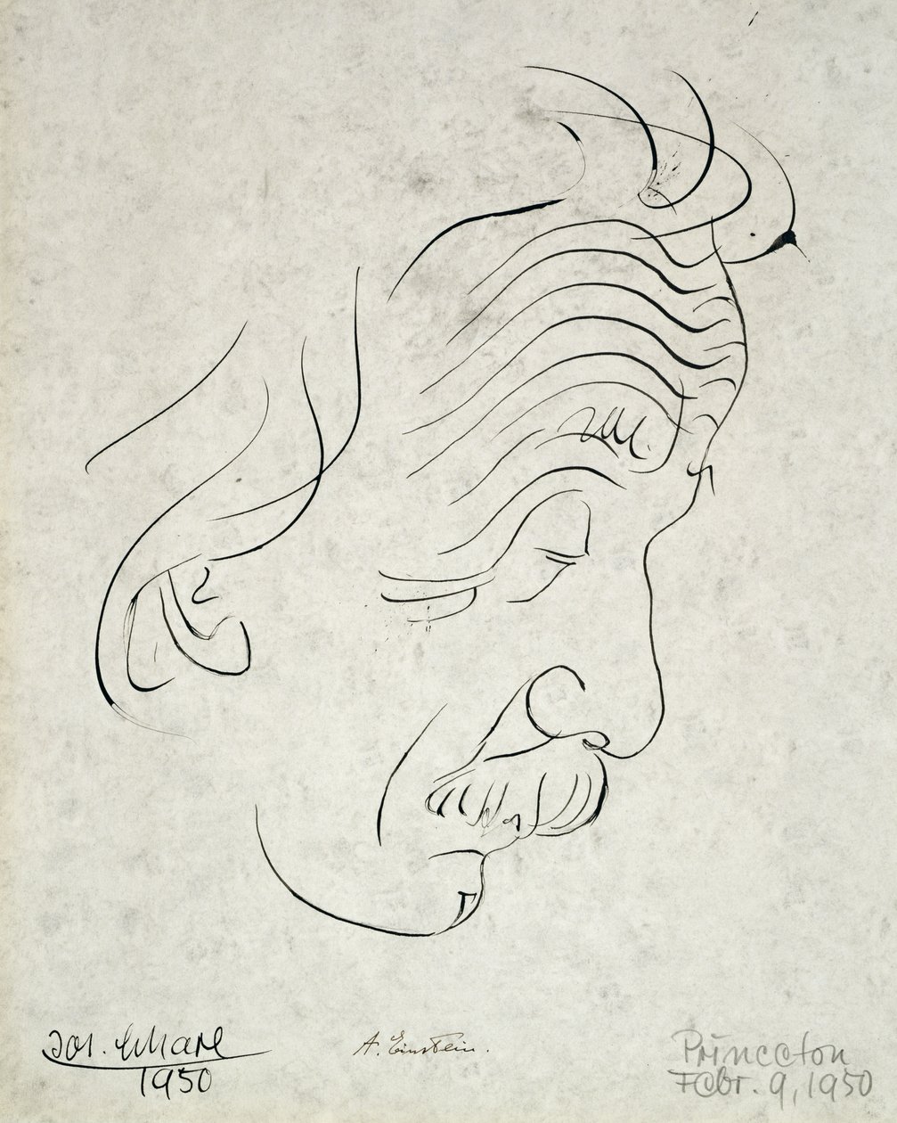 Albert Einstein de Josef Scharl