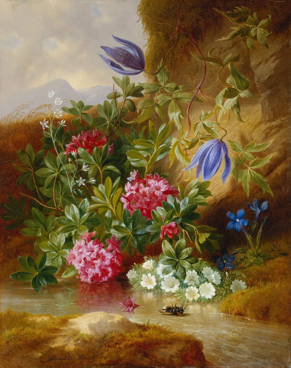 Alpenblum, de Josef Schuster