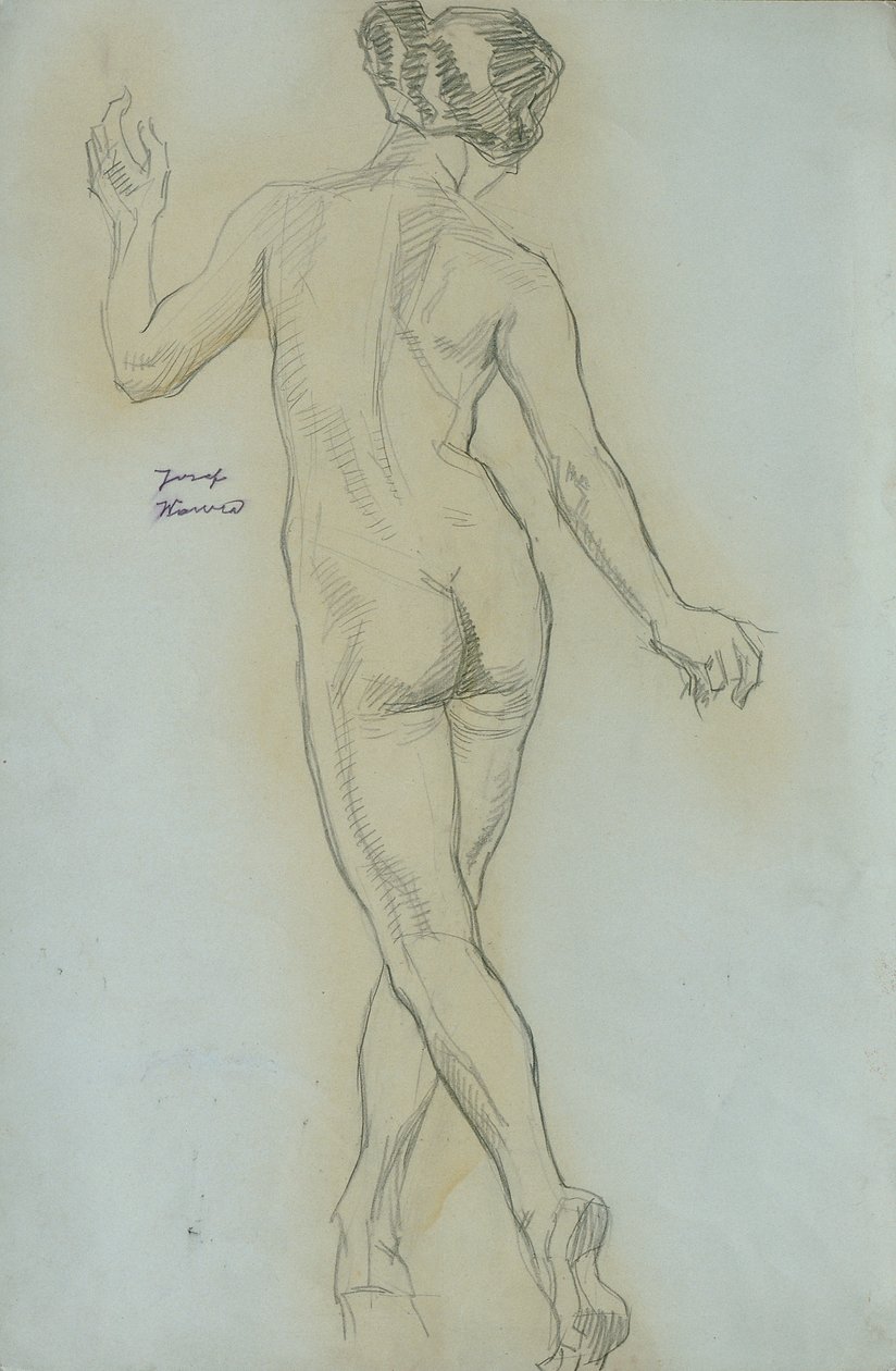 costas nuas de Josef Wawra
