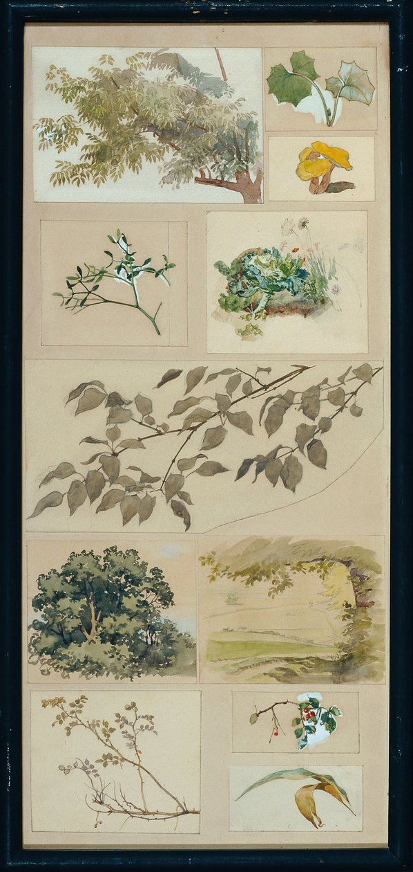 Estudos de acordo com a natureza de Josef Wawra