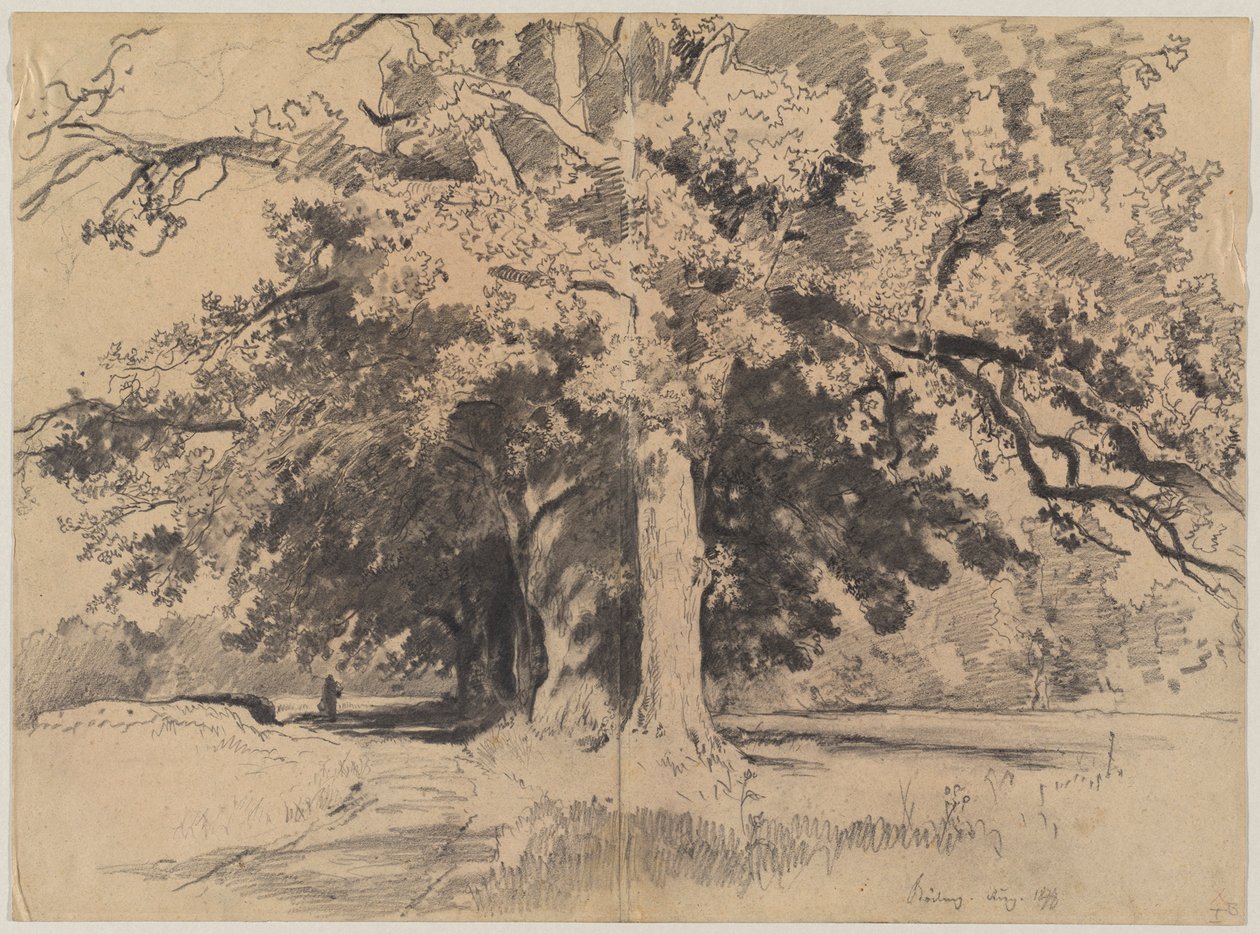 Árvores altas perto de Böding de Josef Wenglein