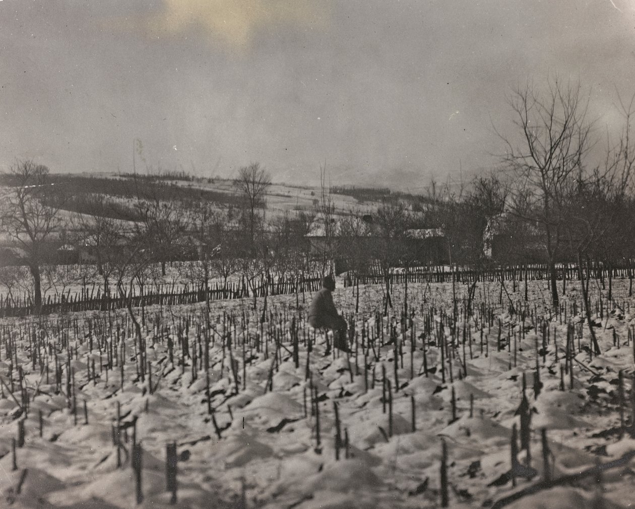 Álbum "Meine weltkriegs - Erinnerungen South-West Front (Caríntia, Itália, Tirol do Sul) (My world war - memories of the South-Western Front in Carinthia, Italy, Trentino-Alto Adige) 31/03/1915-12/11/1918 - Josef Zohles Wien ": Cemitério militar (foto a p/ de Josef Zohles