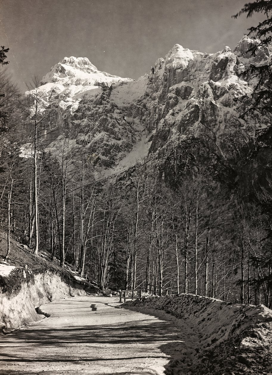 Álbum "Meine weltkriegs - Erinnerungen South-West Front (Caríntia, Itália, Tirol do Sul) (A minha guerra mundial - memórias da Frente Sudoeste na Caríntia, Itália, Trentino-Alto Adige) 31/03/1915-12/11/1918 - Josef Zohles Wien ": estrada de montanha (foto  de Josef Zohles