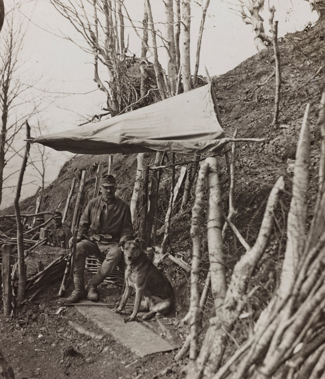 Álbum "Meine weltkriegs - Erinnerungen South-West Front (Caríntia, Itália, Tirol do Sul) (My world war - memories of the South-Western Front in Carinthia, Italy, Trentino-Alto Adige) 31/03/1915-12/11/1918 - Josef Zohles Wien ": cão militar debaixo de uma t de Josef Zohles