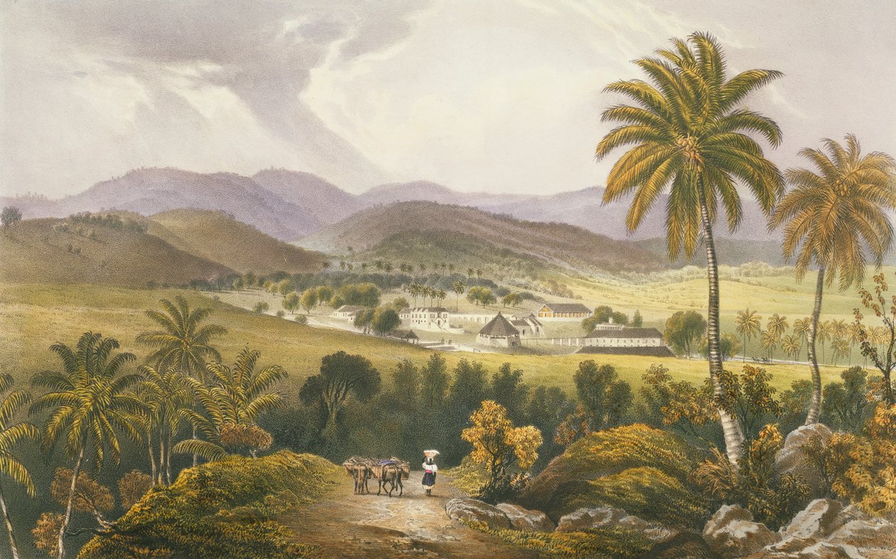 Aposentadoria Estate, St. James, placa 13 de &39;West Indian Scenery: Ilustrações da Jamaica&39;, gravada pelo artista, pub. 1838-40 de Joseph Bartholomew Kidd