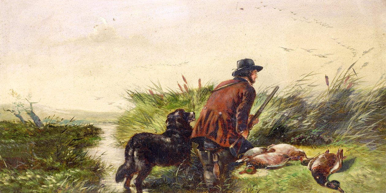 Ducks Flighting após uma pintura de Richard Ansdell (1815-85) de Joseph Bensted