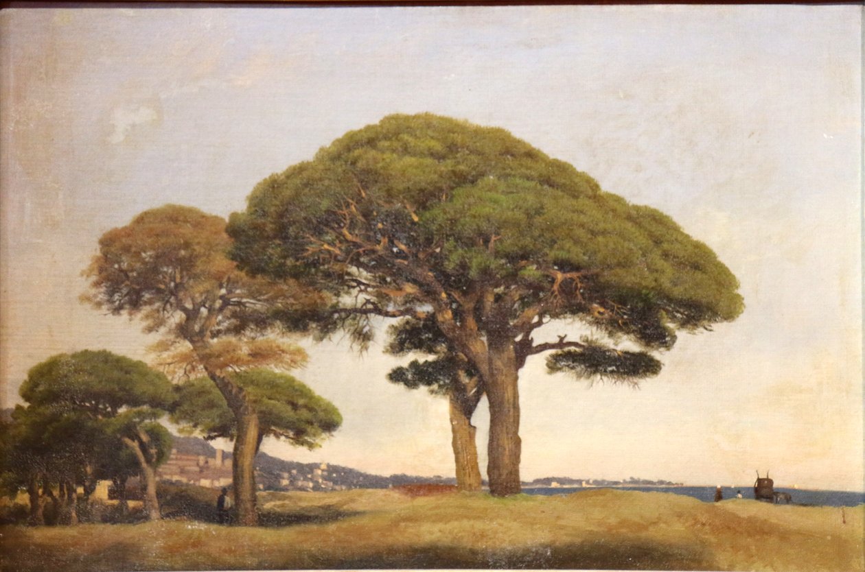 Os pinheiros de Bocca de Joseph Contini