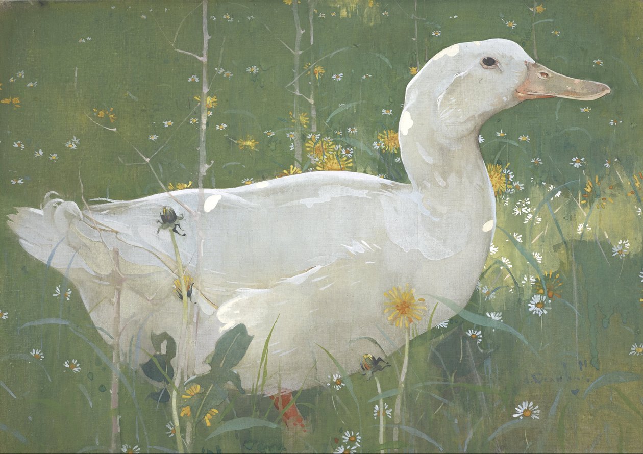O Drake Branco de Joseph Crawhall