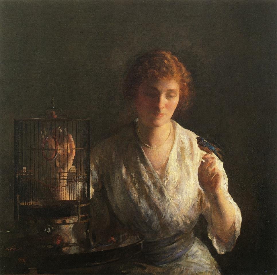 Birdn azul de Joseph DeCamp