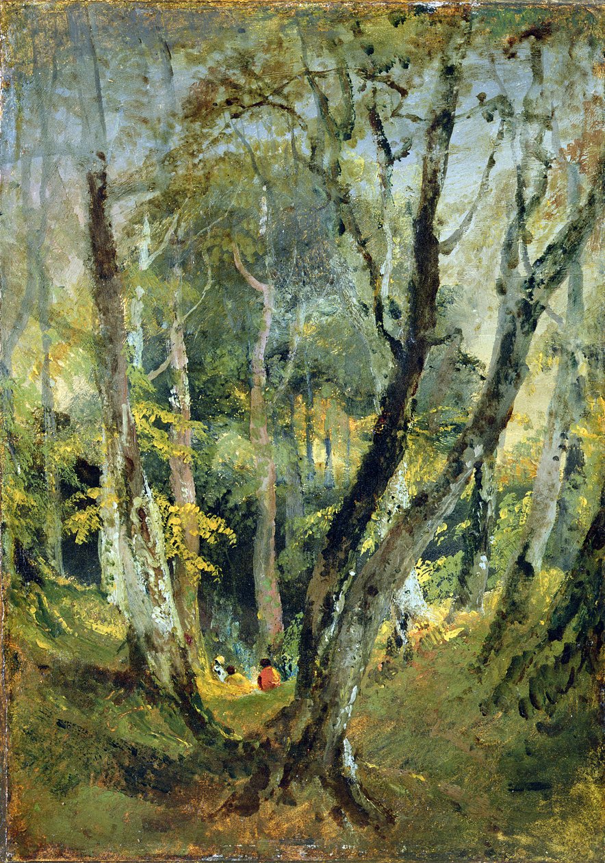 Uma madeira de faia com ciganos sentados à distância, c.1799-1801 (óleo sobre papel colocado no painel) de Joseph Mallord William Turner