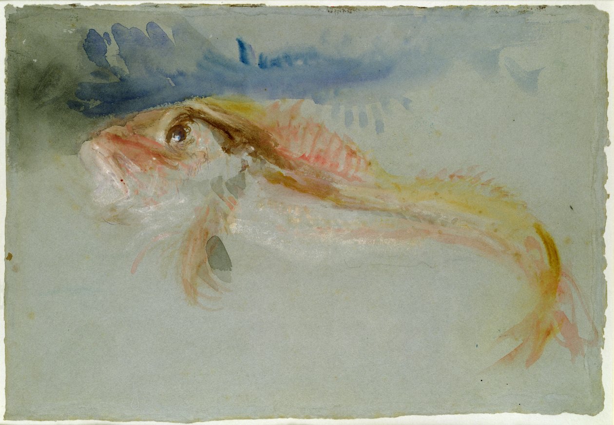 Um bacamarte de Joseph Mallord William Turner