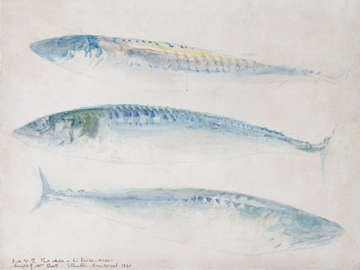 Um esboço de três cavala (wc e lápis sobre papel) de Joseph Mallord William Turner