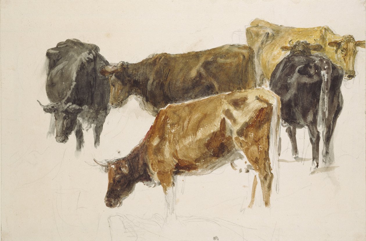 Estudo de um grupo de vacas, c. 1801 (aquarela sobre grafite, com alguns arranhando, em papel de capa) de Joseph Mallord William Turner