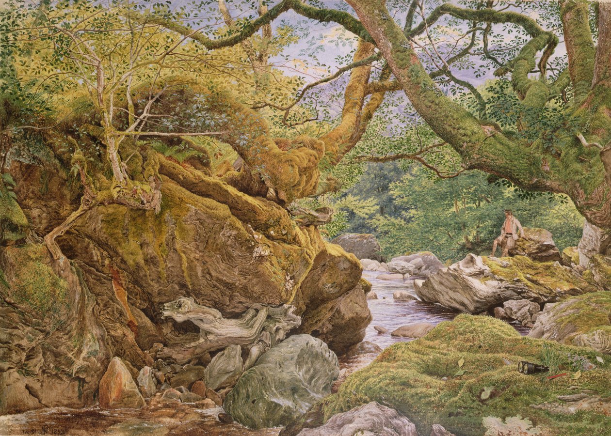 Estudo da natureza: Inveruglas, 1857 de Joseph Noel Paton