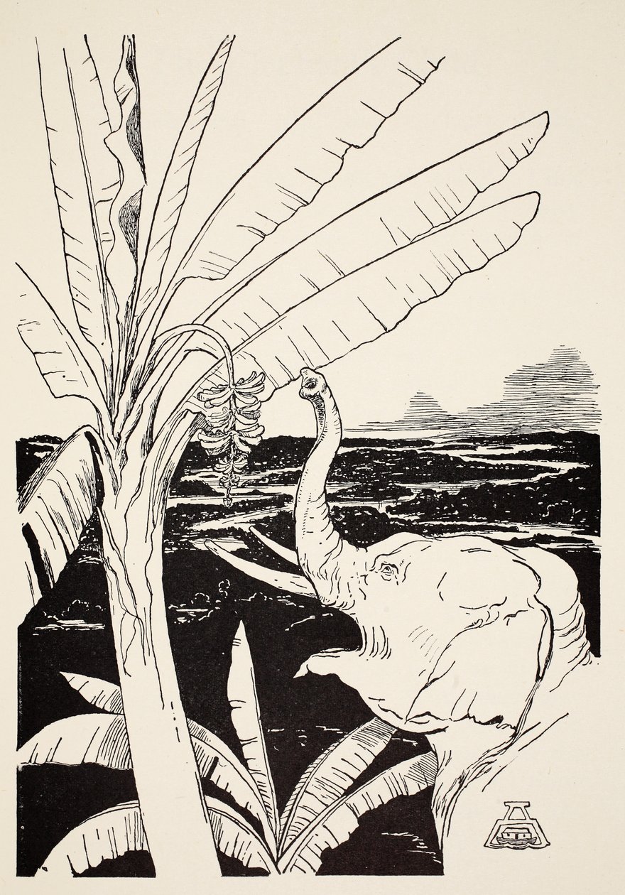 A Criança do Elefante vai tirar bananas de uma bananeira depois que ele pegou seu novo baú, ilustração de "Só Tão Histórias para Criancinhas", de Rudyard Kipling, pub. Londres, 1951 de Joseph Rudyard Kipling