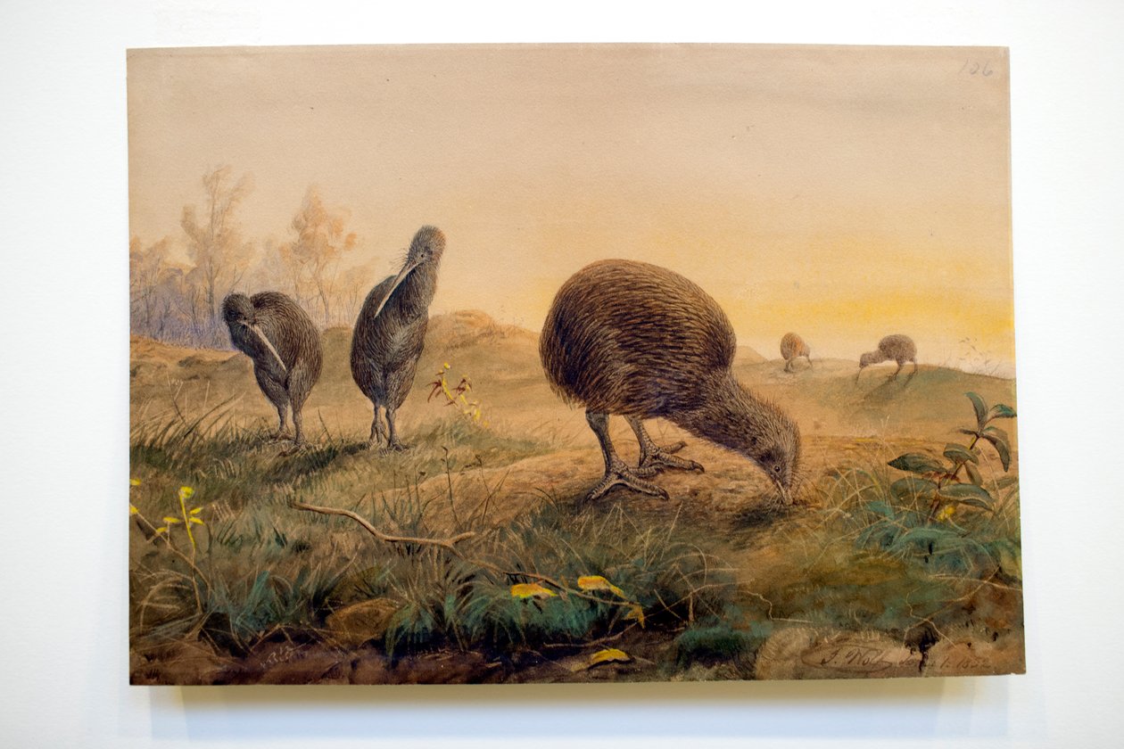 Mantis do quivi, 1852 de Joseph Wolf