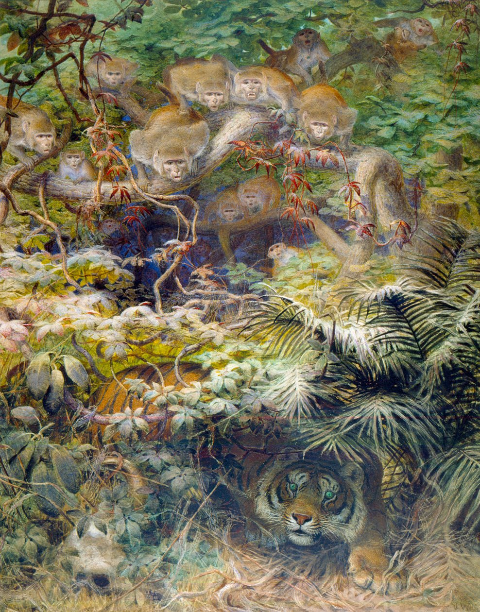 Fila na Selva, 1863 de Joseph Wolf