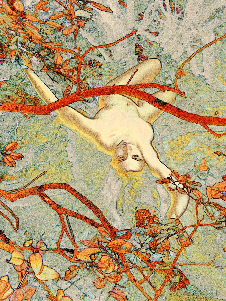 Alice em Cévennes 2 de Joseph Angilella Auquier