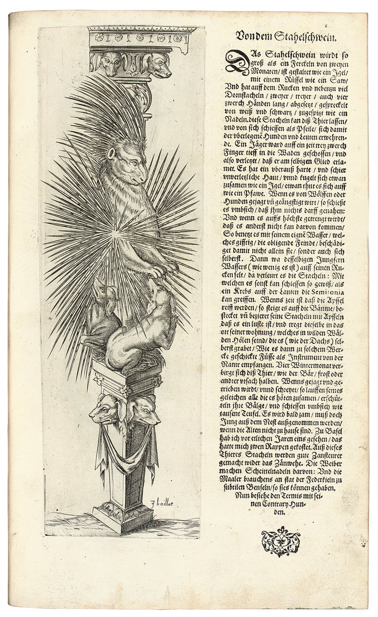 Coluna decorada com uma forma de animal, 1604 de Joseph Boillot
